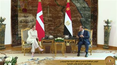 الرئيس السيسي: الحرب الروسية الأوكرانية لها تداعيات على أمن واستقرار العالم