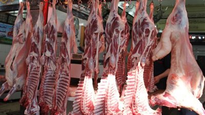 التموين تعلن تجهيز 21 شادرًا لبيع اللحوم على مستوى الجمهورية