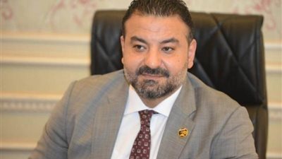 برلماني: المشروعات الصغيرة تستقطب قدرات الشباب للاستثمار في رأس المال البشري