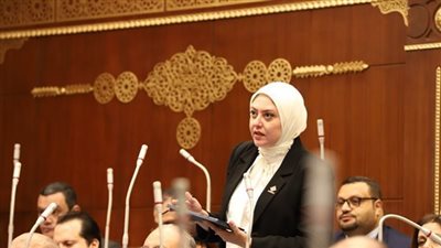 برلمانية: معارض أهلًا رمضان مبادرة جيدة من الحكومة في ظل التحديات الاقتصادية الجارية