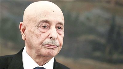 عقيلة صالح يطرح خارطة طريق جديدة لحل الأزمة الليبية