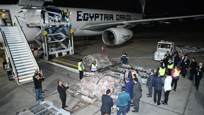 مصر للطيران تساهم في نقل سلسلة من شحنات اللحوم المبردة من تشاد