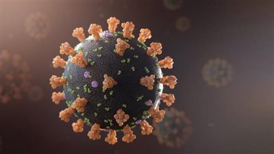 متحدث الصحة يكشف حقيقة تحذير المنظمة العالمية من وباء مقبل محتمل