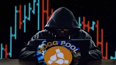 هوج بول خلال 6 أشهر.. سر استقطاب 600 ألف مصري لسرقة أموالهم