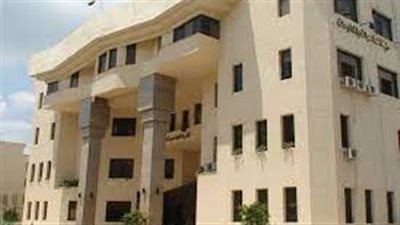 «أبو الفتوح» عميدا للمعهد العالي لنظم المعلومات الإدارية بالمنصورة و«الراعي» وكيلا