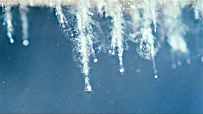 علماء يكشفون مفاجآة: يمكن العثور على كائنات فضائية في الغبار 