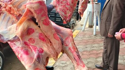 نقيب الفلاحين يكشف سر ارتفاع أسعار اللحوم بنسبة 100% خلال عام