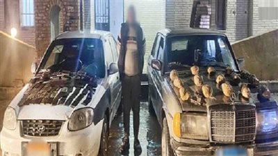 الداخلية تكشف قصة تهريب 27 كجم حشيش وهيدرو عبر قناة السويس