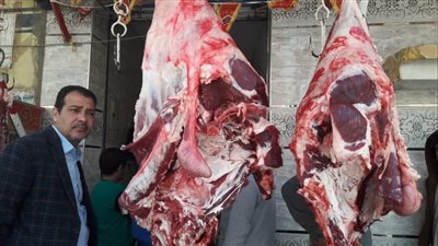 تحرير 13مخالفة تموينية وضبط دواجن مجمدة فاسدة ببني مزار المنيا