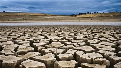 سكان برلين يصوتون على حياد العاصمة مناخيا بحلول 2030