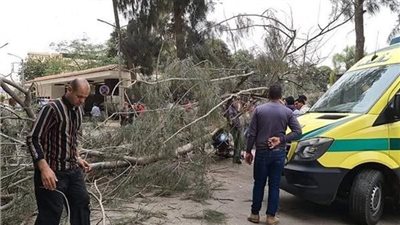 تفاصيل مصرع طالبة غرقًا فى مياه المصرف بالمنيا