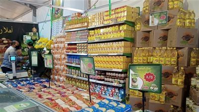 بالمستندات.. مخالفات مالية خطيرة تهدد عرش الشركة المصرية لتجارة الجملة