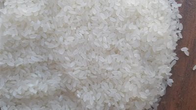 حقيقة وجود عجز في الكميات المعروضة من الأرز بالأسواق والمنافذ التموينية