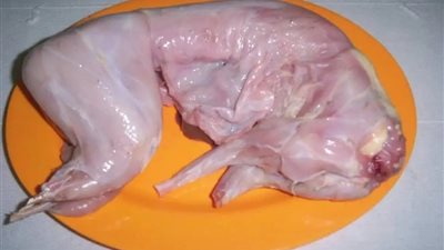 9 اختلافات تفرق بين لحم القطط والأرانب.. اعرفها بدقة