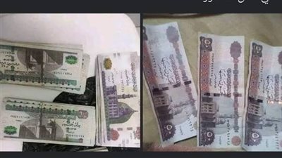 تفاصيل سقوط أخطر تاجرة عملات مزورة في البدرشين