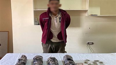 ضبط ديلر بحوزته مواد مخدرة بـ170 ألف جنيه في الدقهلية 