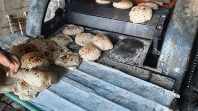 تحرير 40 مخالفة تموينية على المخابز البلدية المخالفة بمركزى سمالوط وديرمواس بالمنيا