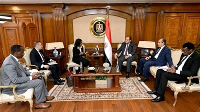 استعدادات استضافة القاهرة لمعرض التجارة البينية الإفريقي