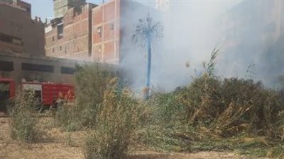 الحماية المدنية تسيطر على حرائق الغربية وكفر الشيخ والجيزة