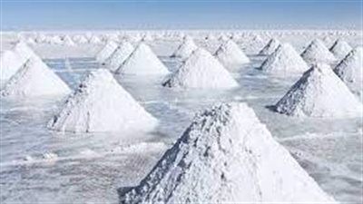 معركة دولية على 