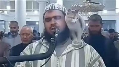 بالفيديو: قطة تقبل وجه أمام جامع أثناء صلاة التراويح