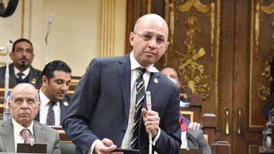 النائب عمرو هندي: مصر والسعودية ركيزة استقرار المنطقة وخط الدفاع عن المصالح العربية