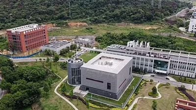 علماء صينيون ينفون انتقال كورونا من الخفاش للإنسان!