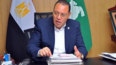 محافظ الشرقية: البرنامج القومي 