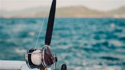 أغرب عمليات صيد عمالقة المحيطات حول العالم