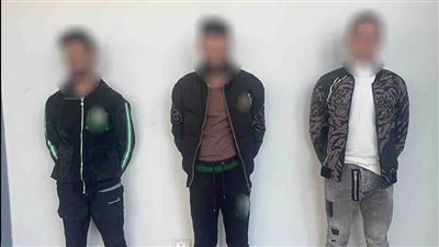 سقوط تشكيل عصابي لسرقة الكابلات الكهربائية في حلوان