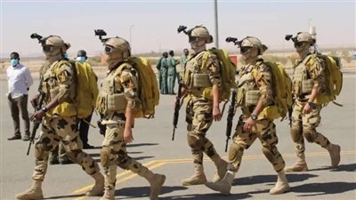 أحاديث تؤكد ثناء الرسول على الجيش المصري