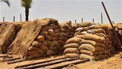 توريد 3268 طن من محصول القمح بالشون والصوامع الحكومية بمراكز المنيا