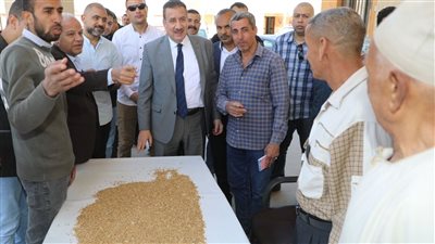 محافظ المنوفية يكشف حصيلة ما تم توريده من القمح اليوم
