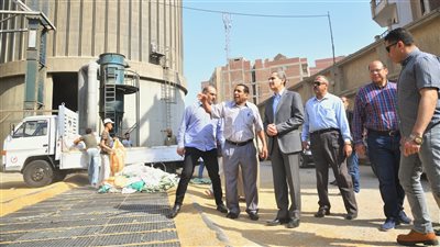 محافظ الغربية يتفقد استقبال القمح بصوامع وشون المحلة وطنطا.. اعرف التفاصيل