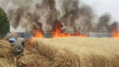 السيطرة على حريق نشب داخل مزرعة قمح بالمنيا