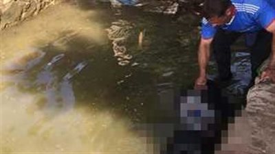 تحركات عاجلة بعد العثور على جثتي شاب ووالده في مياه النيل بالجيزة