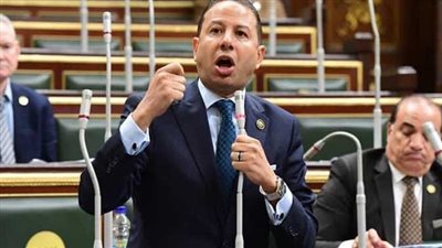 برلماني: سياسات مصر تتسم بالتوازن والحكمة في التعامل مع التطورات الجارية بالسودان