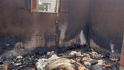 محافظ الدقهلية يكلف بدعم أسرة توفي 2 من أفرادها في حريق 