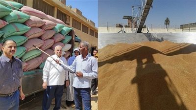 توجيهات حاسمة لتحقيق أكبر كمية توريد أقماح للموسم الزراعي بصوامع وشون سوهاج