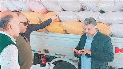 ارتفاع معدلات توريد القمح إلى أكثر من 3060 طنا في بورسعيد 