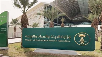 تفاصيل إقامة مزاد علني لبيع 154 مركبة متنوعة بالسعودية