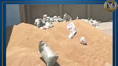 تورط صاحب مطحن في حجب 30 طن قمح عن التوريد للصوامع بسوهاج