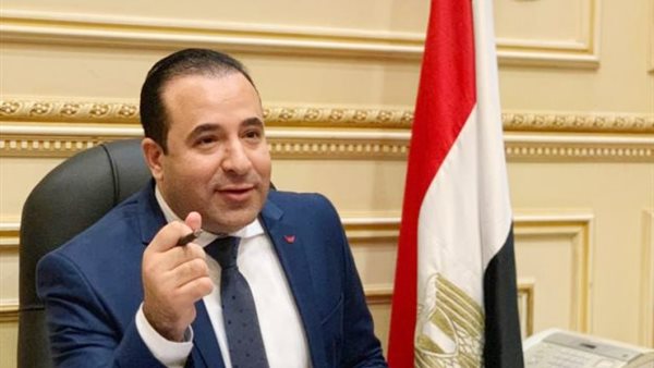 برلماني: لم يثبت بيع خطوط بأرقام قومية مصرية للاجئين 