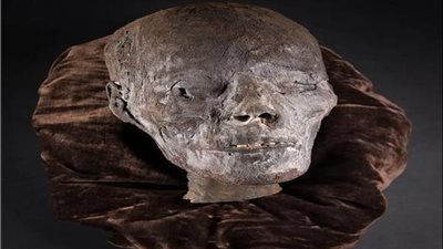 رأس ويد مومياء.. رصد قطعتين أثريتين معروضتين للبيع بأحد المزادات بالمملكة المتحدة