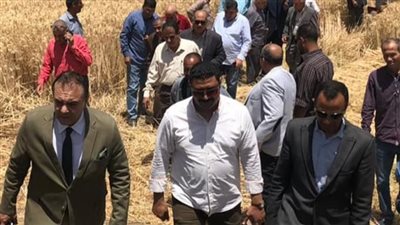 محليات ملوي تتابع أعمال توريد محصول القمح بزراعات المدرسة الثانوية الزراعية