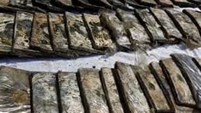 سقوط مسجل خطر بحوزته 42 طربة حشيش فى المنيا 