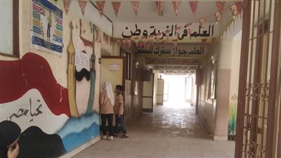 بلاغ من أب يكشف عن «مرض خطير» داخل مدرسة بأسوان.. اعرف القصة