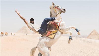 الأسطورة دوين ويد يستمتع بإجازته في مصر ويزور عددًا من المعالم السياحية