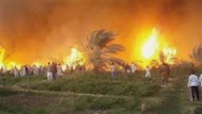 تفاصيل نشوب حريق بمخلفات نخل في الحوامدية