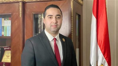 خبير دولي: بيان الخارجية الداعم للسعودية يؤسس لمرحلة جديدة من التضامن العربي